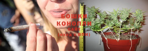 прущая мука Бронницы