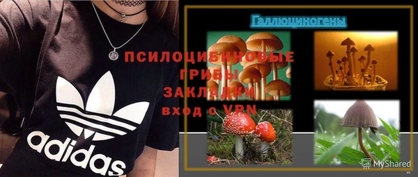 ПСИЛОЦИБИНОВЫЕ ГРИБЫ Бугульма
