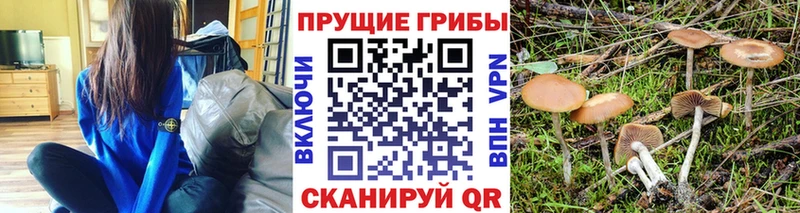 Галлюциногенные грибы прущие грибы  где купить наркотик  Симферополь 
